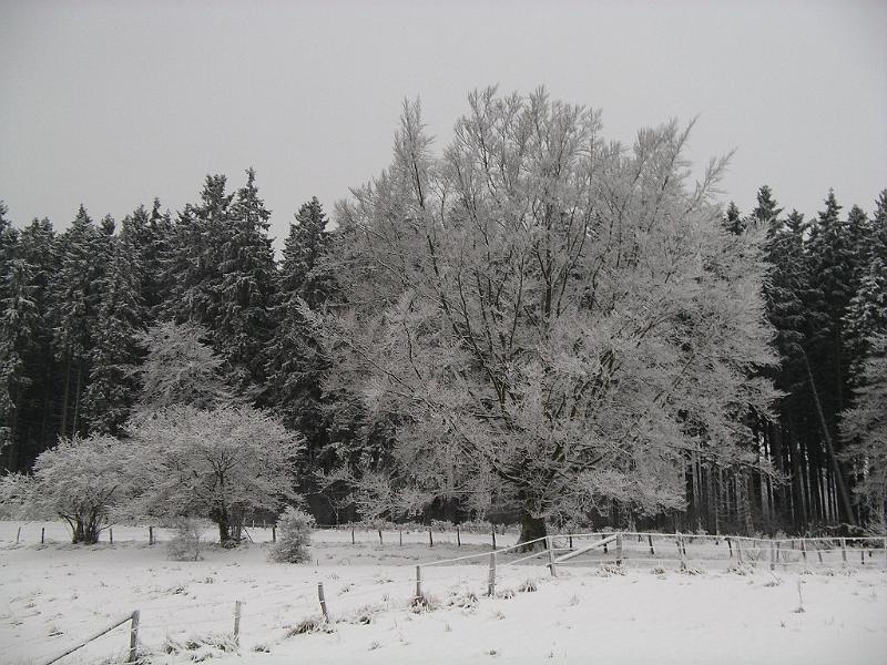 Winter 102.jpg